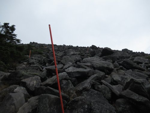登山道